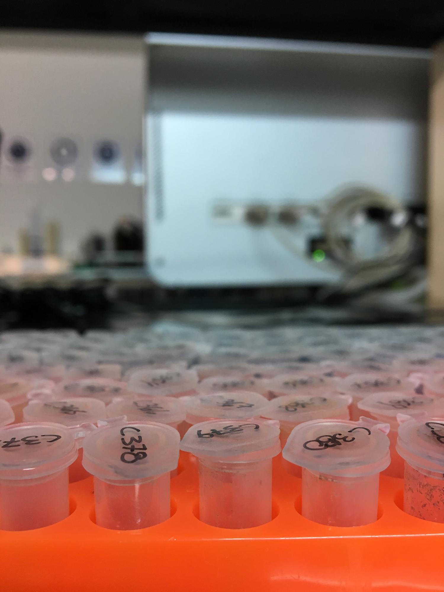 Laboratory setup for texture testing